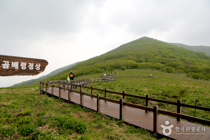 천상의화원 곰배령 1박2일