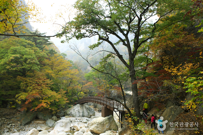 천상의화원 곰배령 1박2일