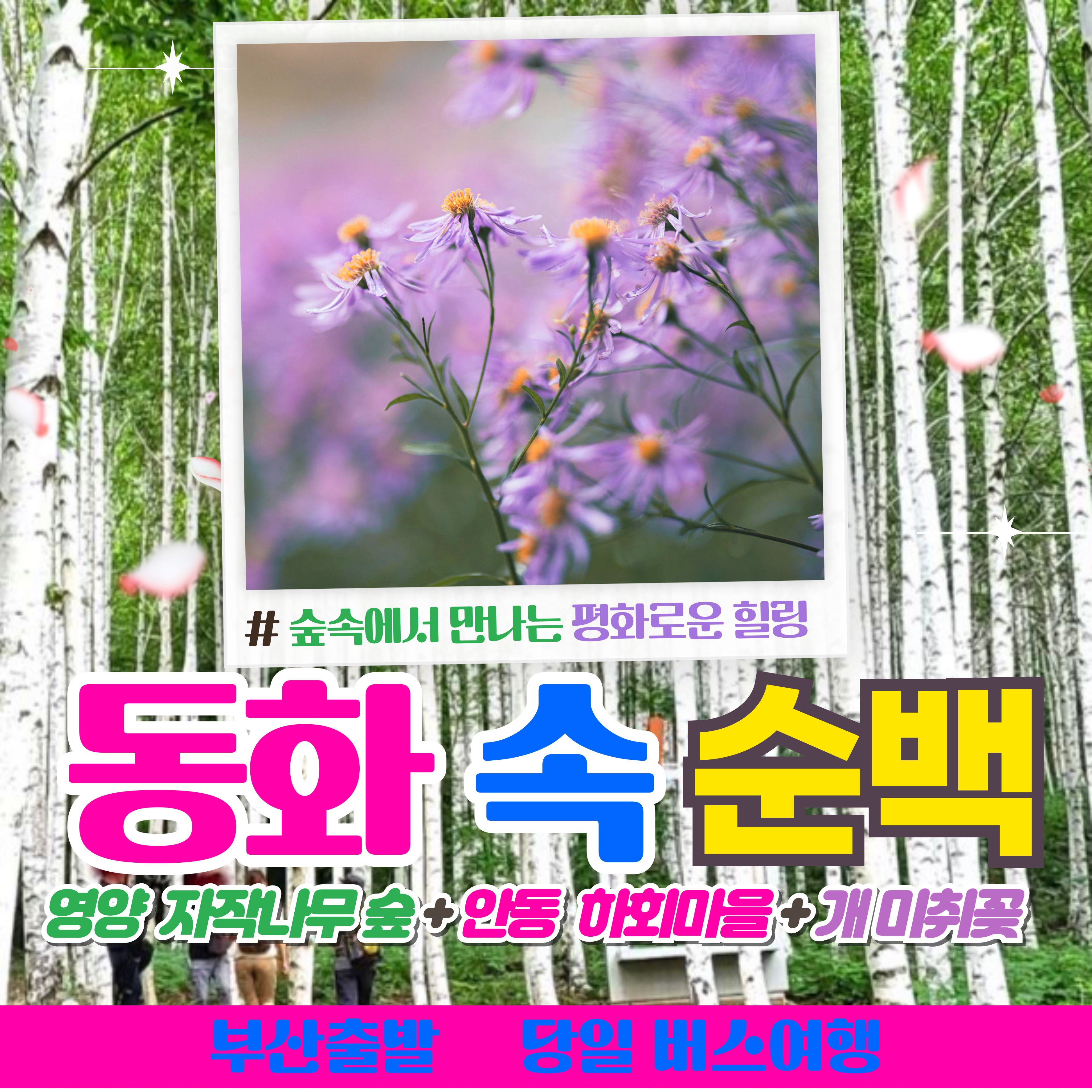 와우부산여행사  [부산출발]  