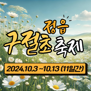 정읍 구절초 축제