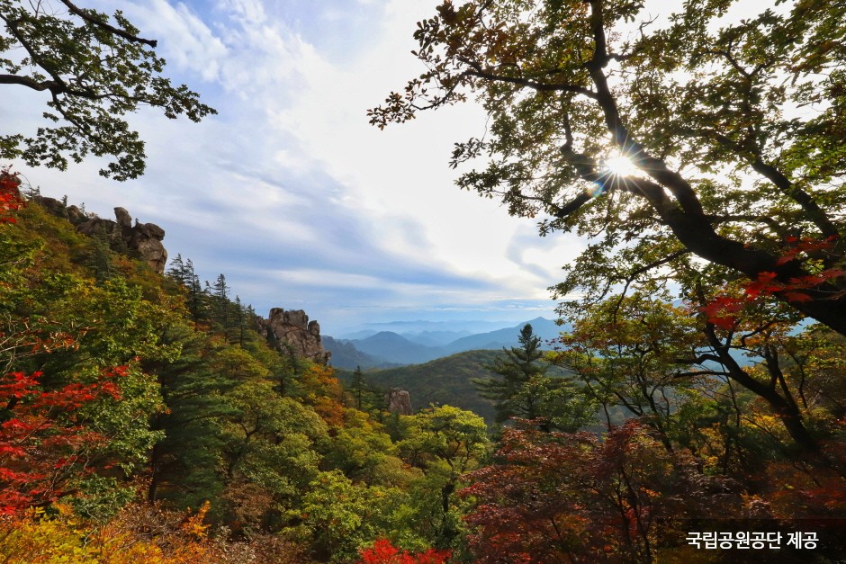 설악산 단풍 백담사 관광