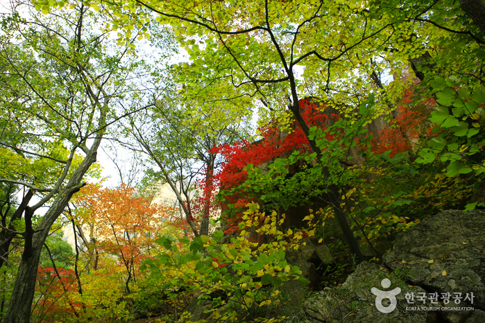 설악산 단풍 백담사 관광