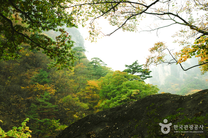 설악산 단풍 백담사 관광