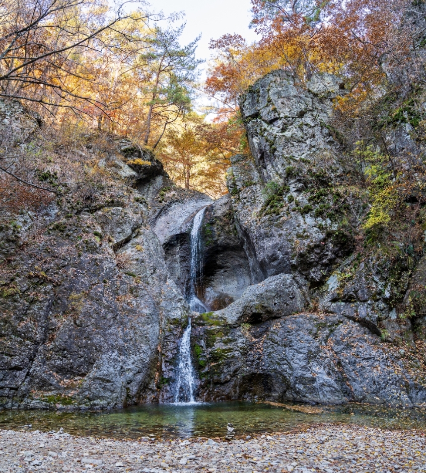 청송 주왕산+주산지 단풍투어