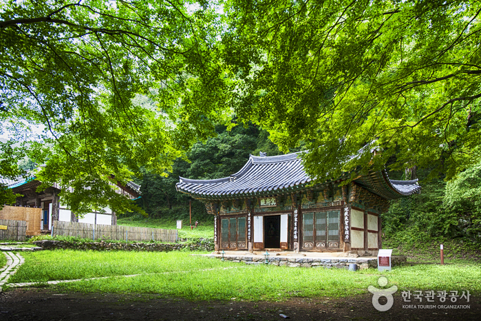 공주 마곡사 단풍 당일투어