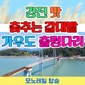 [부산출발] 강진맛 생태공원 + 춤추는 갈대밭 당일버스여행