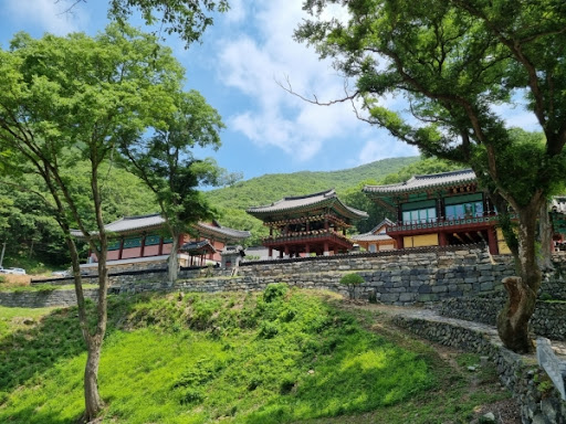[부산출발] 윤달기념 소원성취 삼사순례 당일버스여행