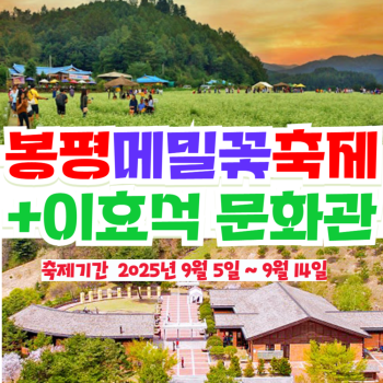 부산출발  봉평 메밀꽃 축제 + 이효석 문화관 당일 버스여행