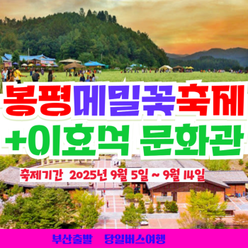 와우부산여행사  [부산출발] 봉평 메밀꽃 축제 + 이효석 문화관 당일치기 버스여행