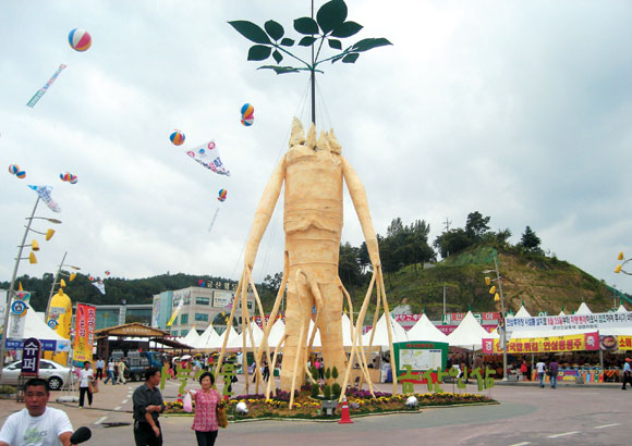 [부산출발] 강경젓갈 금산인삼축제 + 3식제공 당일버스여행 패키지