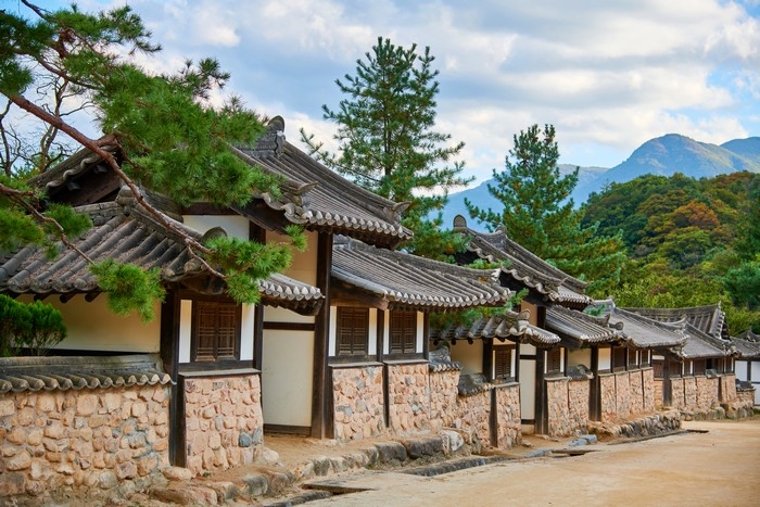 [부산출발] 문경새재 + 오미자터멀 + 영강출렁다리 당일버스여행