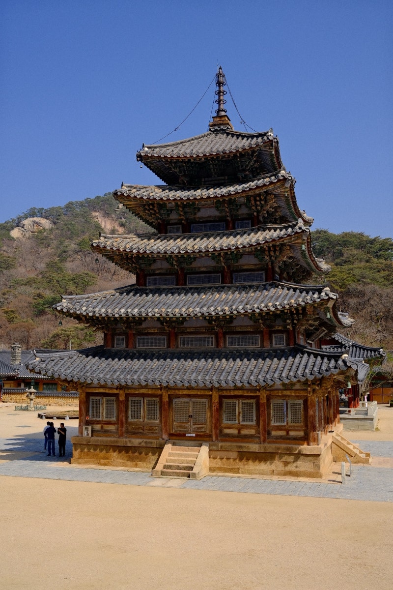 [부산출발] 속리산 법주사 세조길 단풍 + 테마파크 모노레일 말티재 전망대 당일치기 국내 버스여행