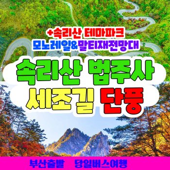 와우부산여행사  [부산출발] 속리산 법주사 세조길 단풍 + 테마파크 모노레일 말티재 전망대 당일치기 국내 버스여행
