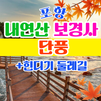 부산출발  포항 내연산 보경사 단풍+힌디기 둘레길 당일 버스여행
