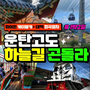 부산출발  운탄고도 하늘길 곤돌라 1박2일 버스여행