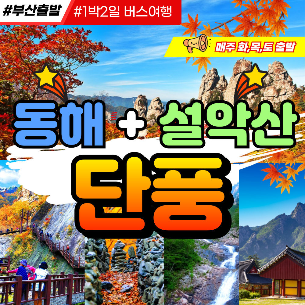 부산출발  동해 + 설악산 단풍 1박2일버스여행