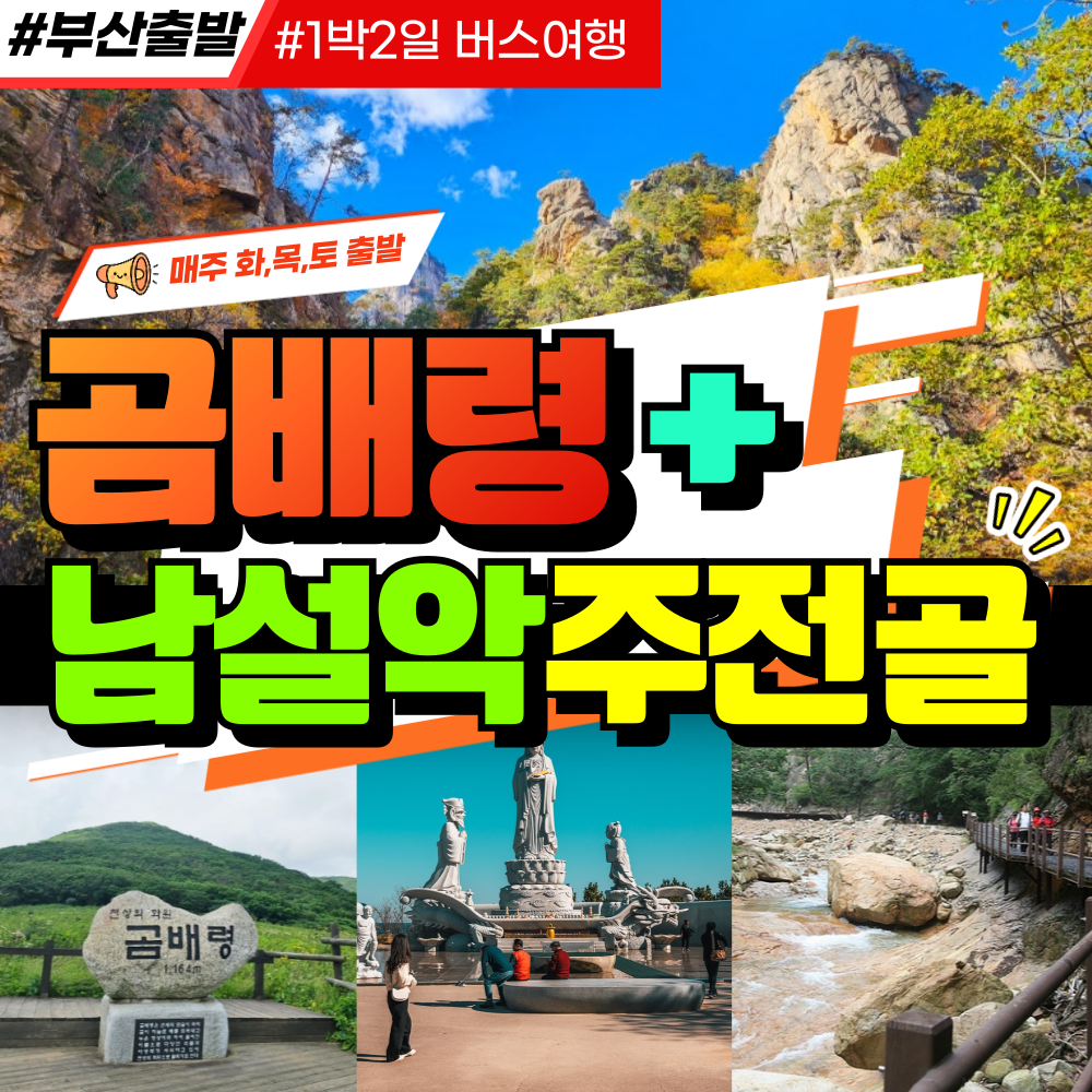 부산출발 곰배령+남설악 주전골  1박2일 버스여행