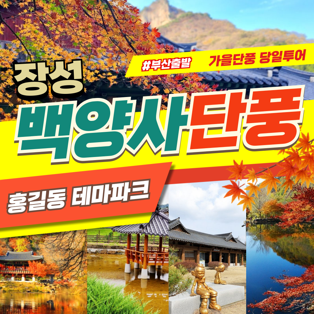 부산출발  장성 백양사단풍 당일여행