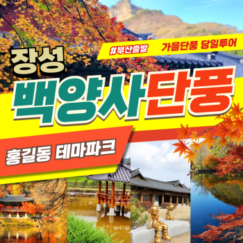 부산출발  장성 백양사단풍 당일여행