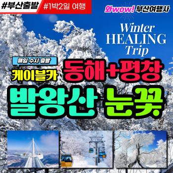 [부산출발] 동해+평창 발왕산 눈꽃케이블카(리무진운행)