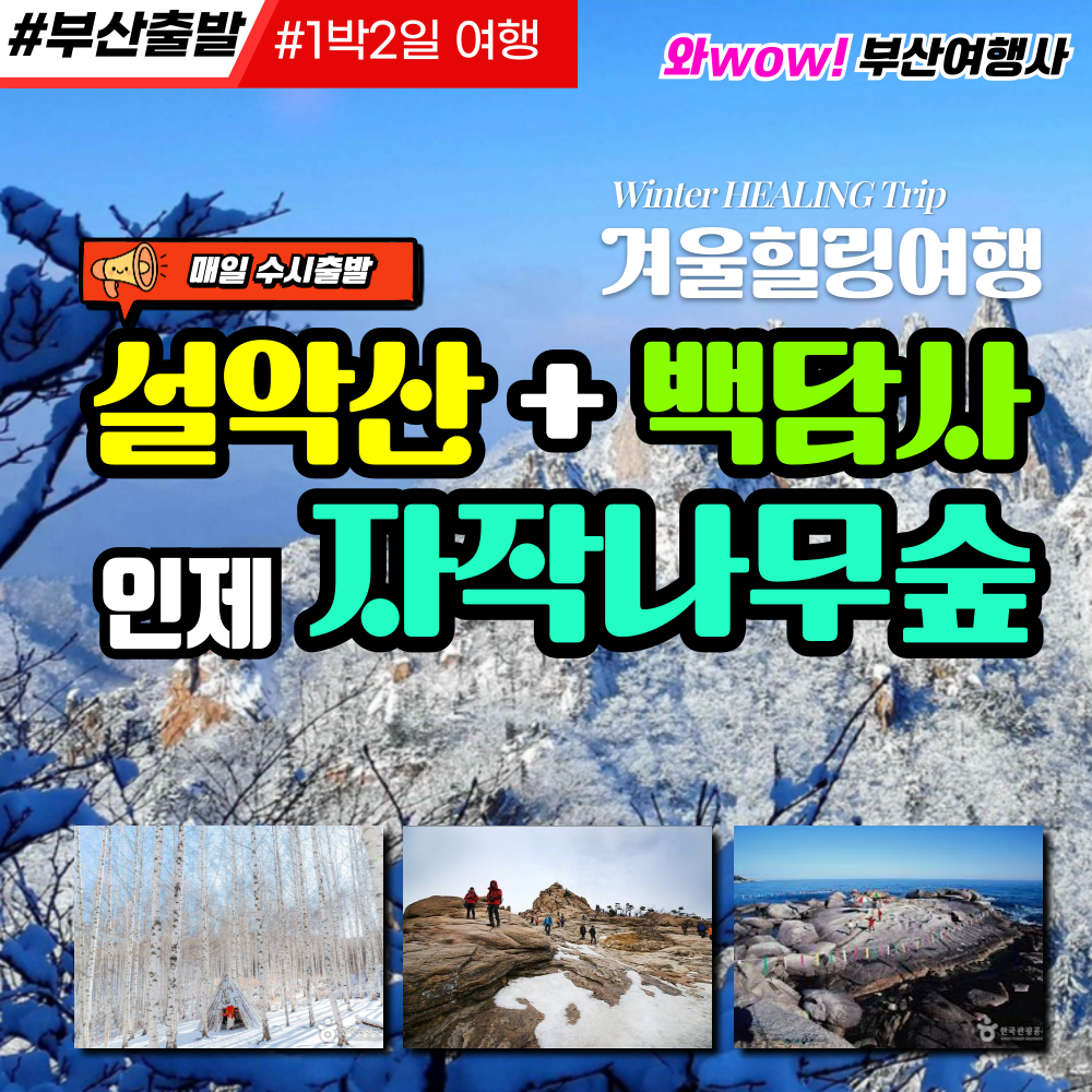 [부산출발] 설악산+백담사+인제자작나무숲 겨울여행(리무진운행)