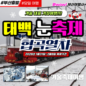 [부산출발] 협곡열차 태백눈축제 기차여행