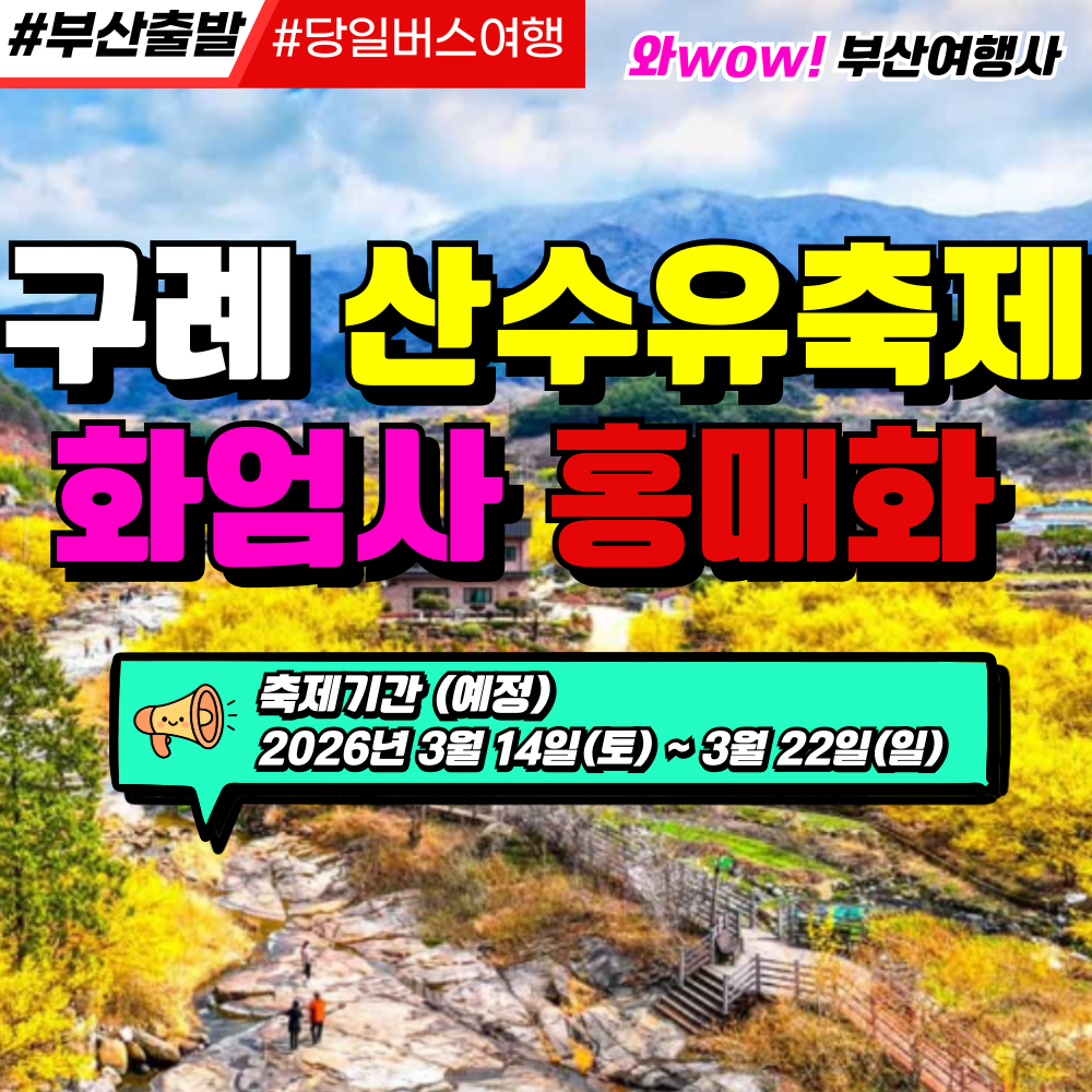 [부산출발]  구례 산수유축제 + 화엄사 홍매화