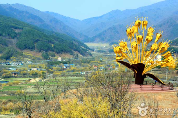 [부산출발]  구례 산수유축제 + 화엄사 홍매화
