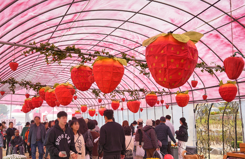 [부산출발] 2026 논산딸기축제