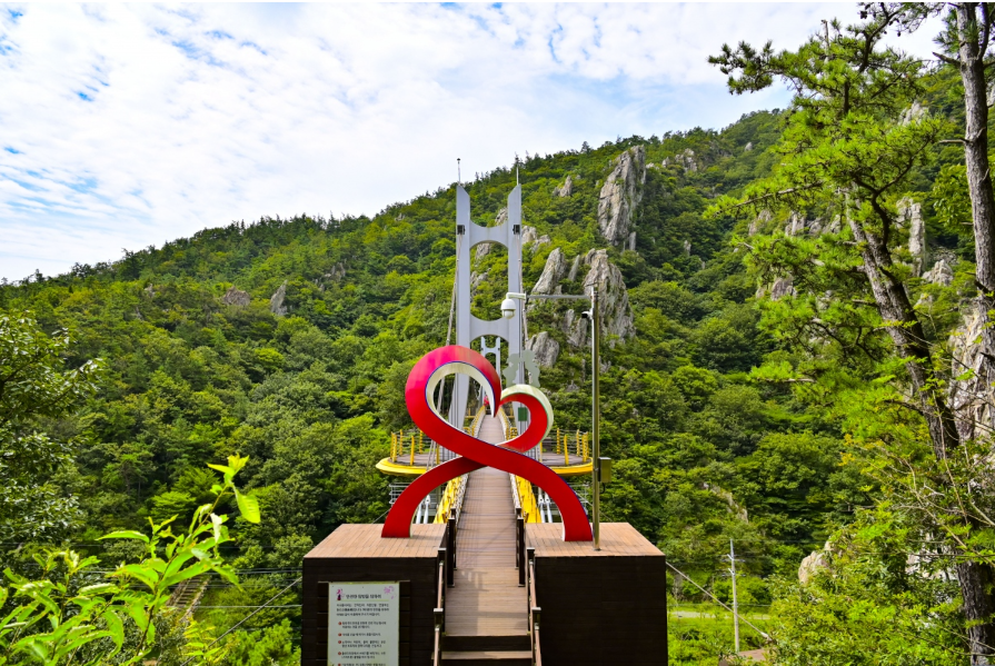 [부산출발] 진도 바닷길 축제