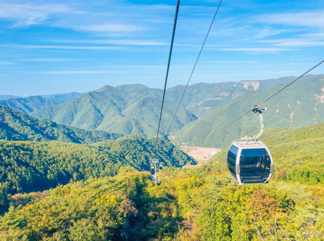 [부산출발] 왕과 사는 남자 핫 여행지 1박2일 안동/영월/정선