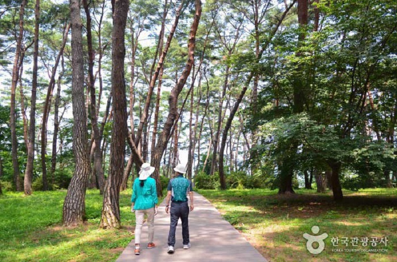 [부산출발] 왕과사는남자 촬영지 영월 청령포 당일투어