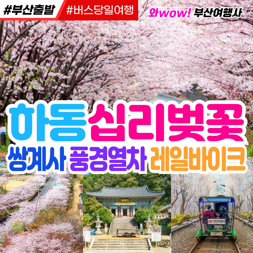 [부산출발] 하동 십리벚꽃 쌍계사 풍경열차 레일바이크 당일투어