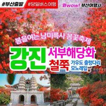 [부산출발]  강진 남미륵사 서부해당화 철쭉 봄꽃 축제 당일여행