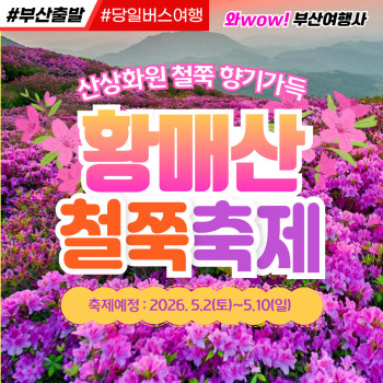 [부산출발]  황매산 철쭉축제 + 함안 악양생태공원 당일버스여행