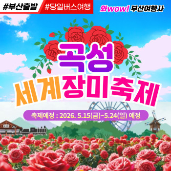 [부산출발]  곡성 세계장미축제 당일버스여행