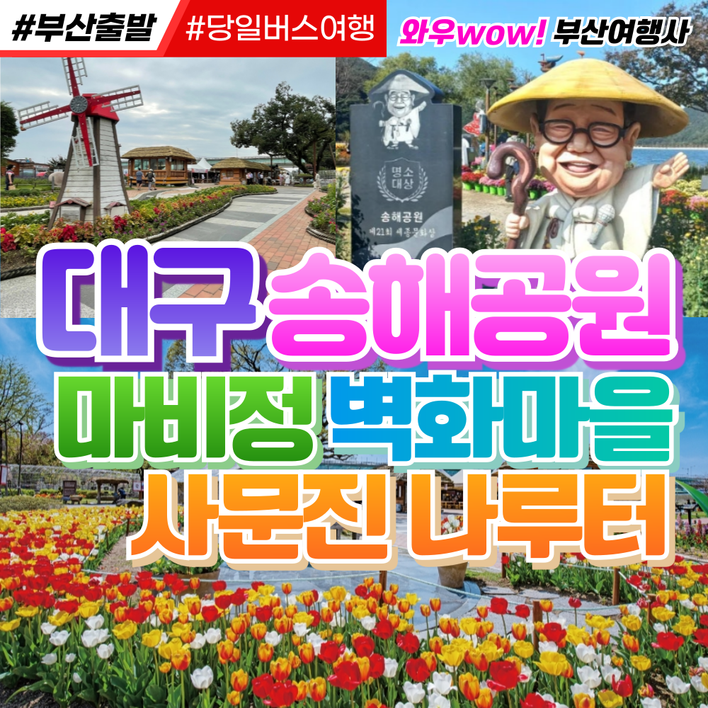 [부산출발] 대구 송해공원+마비정 벽화마을+사문진 나루터 당일버스여행
