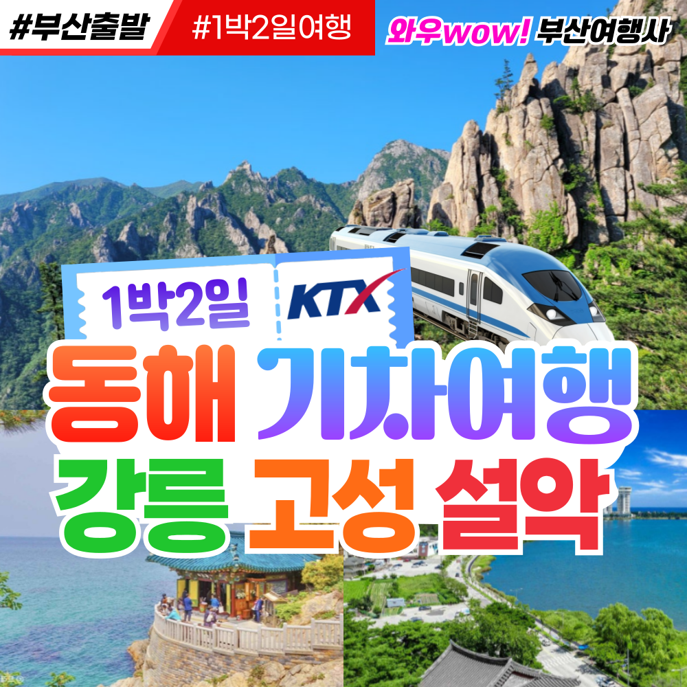 [부산출발] 동해선 KTX 기차여행 강릉 설악 고성 1박2일 리무진투어