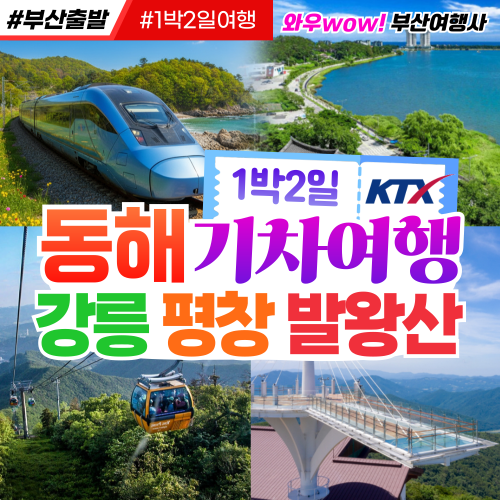 [부산출발] 동해선 KTX 1박 2일 기차여행 강릉 평창 발왕산 리무진 투어