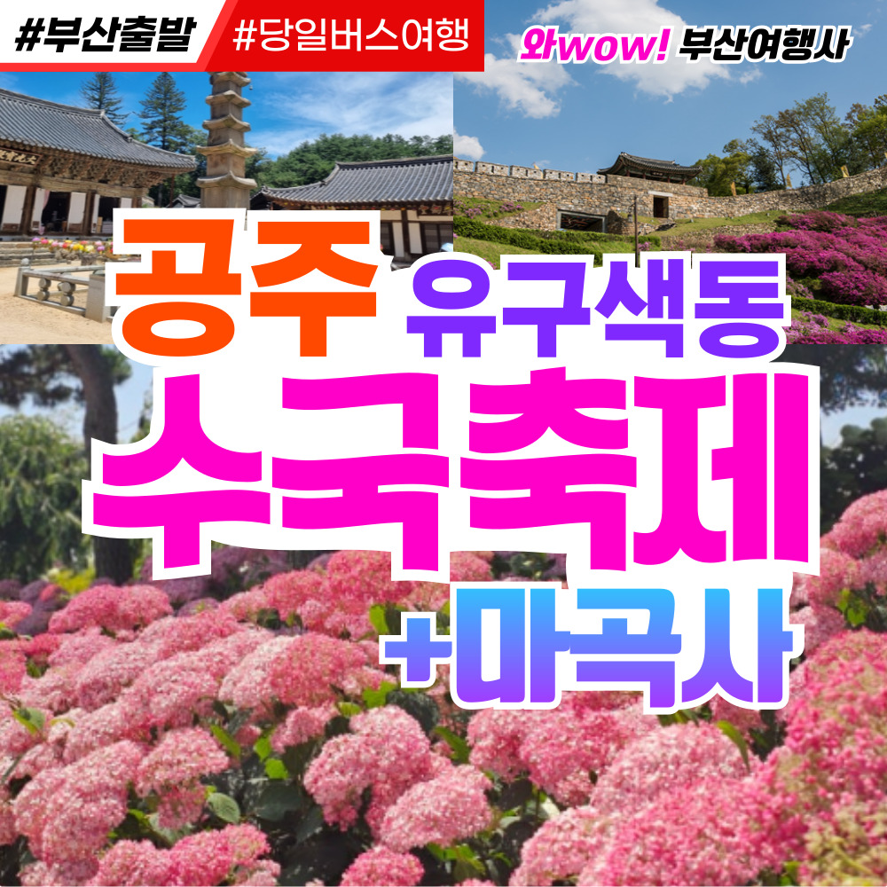 [부산출발] 공주 유구색동 수국 축제 + 마곡사 당일버스여행