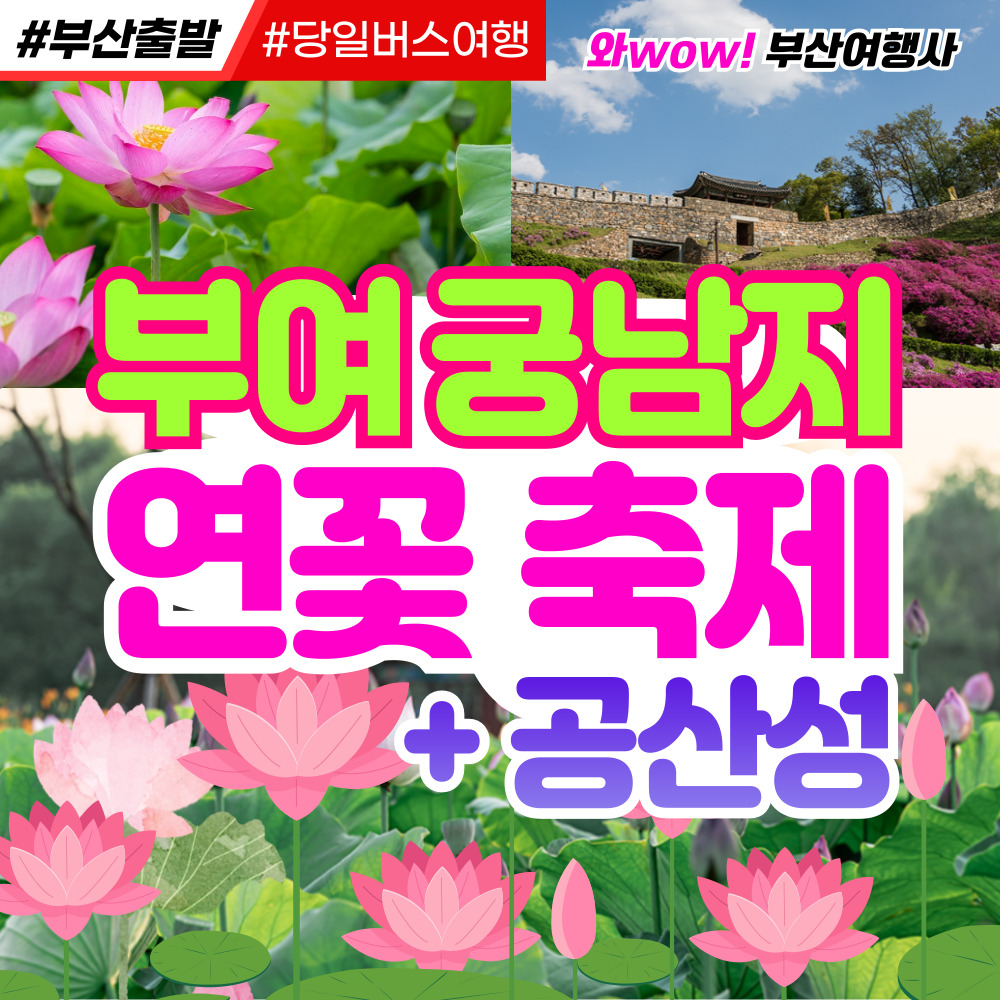 [부산출발] 부여 궁남지 연꽃 축제 + 공산성 당일 버스여행