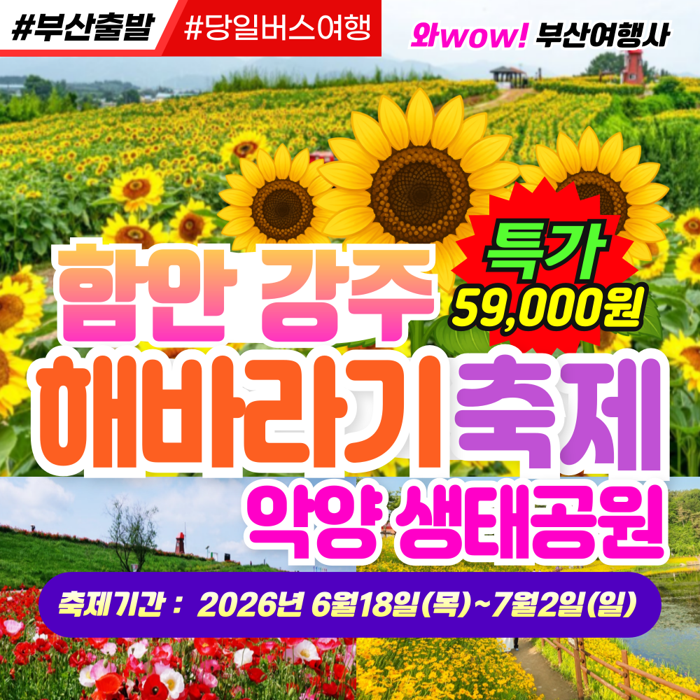 [부산출발] 함안 강주 해바라기축제 악양 생태공원 당일 버스여행