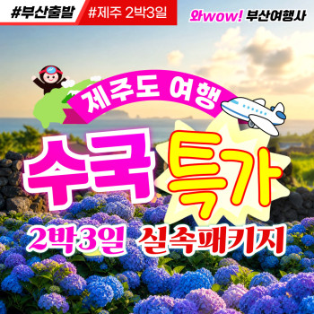[제주도] 실속 특가!!  제주 꽉찬 2박3일 조석 수국여행!!