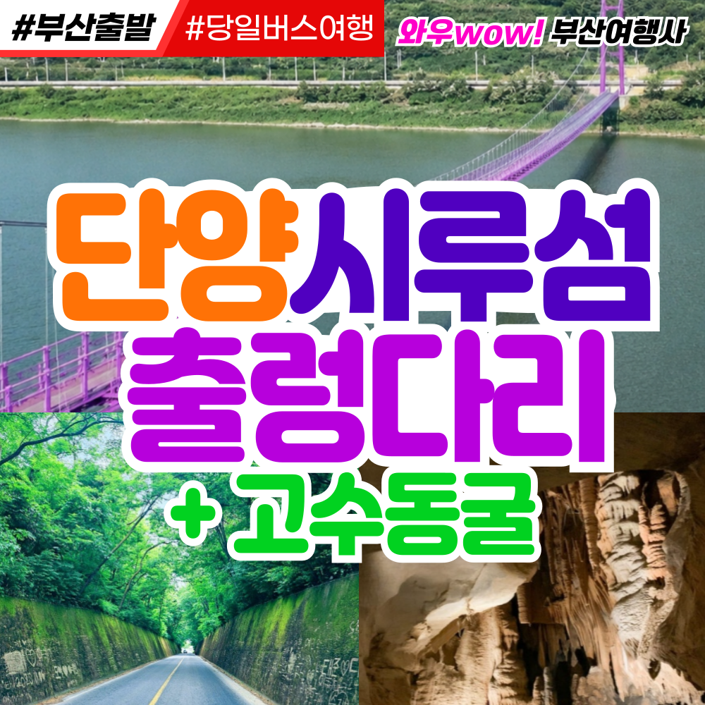 [부산출발] 단양 시루섬  출렁다리 + 고수동굴 당일 버스여행