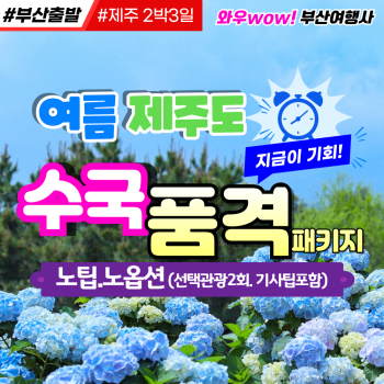 [제주도] 품격 패키지 특가!! 여름 수국명소 제주 꽉찬 2박3일 조석!