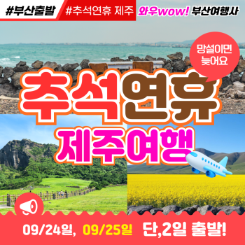 [제주도] 