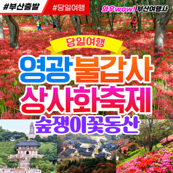 [부산출발] 영광 불갑사 상사화축제 + 숲쟁이꽃동산 당일버스여행