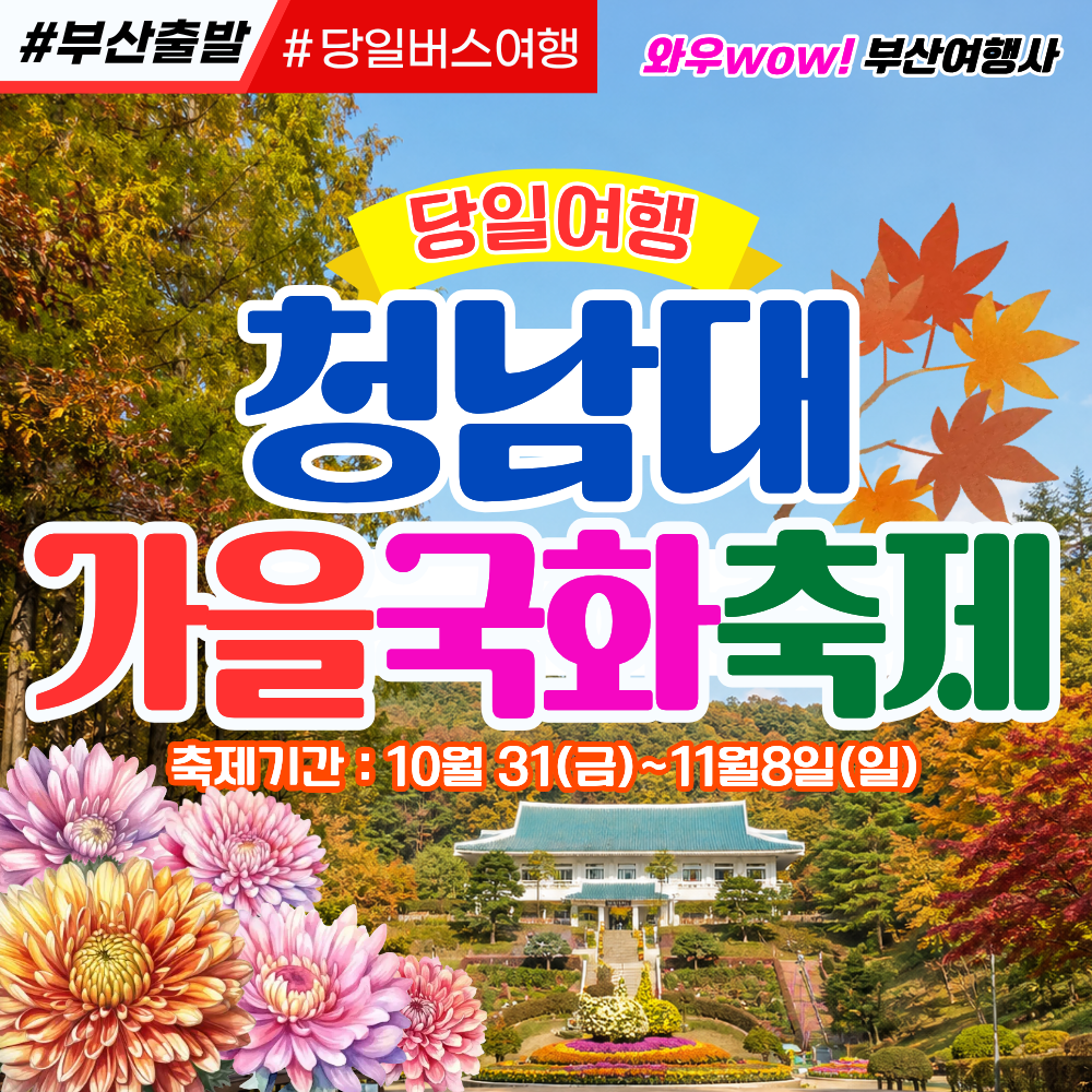 [부산출발] 청남대 가을국화축제 운보의집 & 운보미술관 당일버스여행