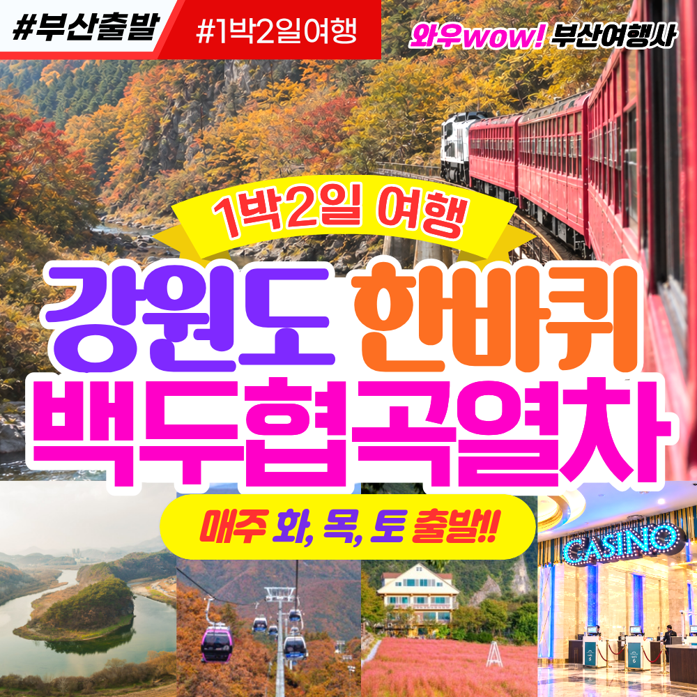 [부산출발 ] 강원도 한바퀴 백두협곡열차 1박2일