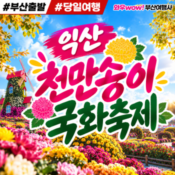 [부산출발] 익산 천만송이 국화축제 당일버스여행